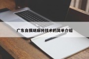 广东自摸胡麻将技术的简单介绍
