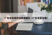广东信宜麻将倍数表图片（广东信宜在哪）